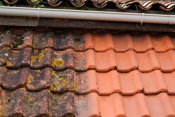Industrial Roof Cleaning in Fairfax